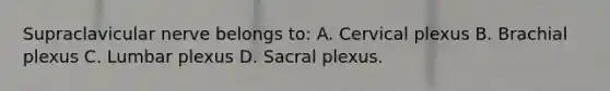 Supraclavicular nerve belongs to: A. Cervical plexus B. Brachial plexus C. Lumbar plexus D. Sacral plexus.