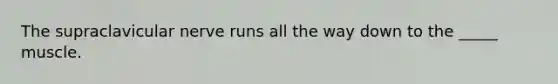 The supraclavicular nerve runs all the way down to the _____ muscle.