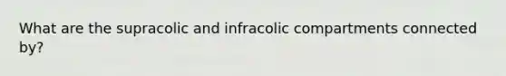 What are the supracolic and infracolic compartments connected by?