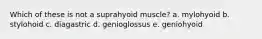 Which of these is not a suprahyoid muscle? a. mylohyoid b. stylohoid c. diagastric d. genioglossus e. geniohyoid