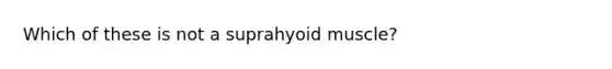 Which of these is not a suprahyoid muscle?