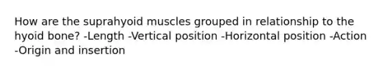 How are the suprahyoid muscles grouped in relationship to the hyoid bone? -Length -Vertical position -Horizontal position -Action -Origin and insertion