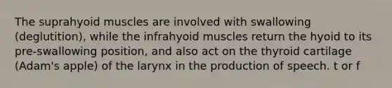 The suprahyoid muscles are involved with swallowing (deglutition), while the infrahyoid muscles return the hyoid to its pre-swallowing position, and also act on the thyroid cartilage (Adam's apple) of the larynx in the production of speech. t or f