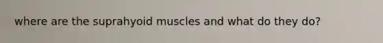 where are the suprahyoid muscles and what do they do?