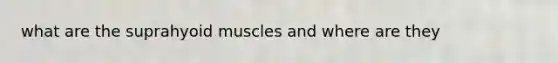 what are the suprahyoid muscles and where are they