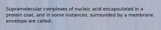 Supramolecular complexes of nucleic acid encapsulated in a protein coat, and in some instances, surrounded by a membrane envelope are called: