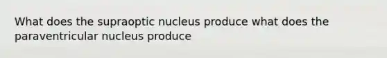 What does the supraoptic nucleus produce what does the paraventricular nucleus produce