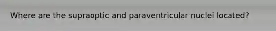 Where are the supraoptic and paraventricular nuclei located?