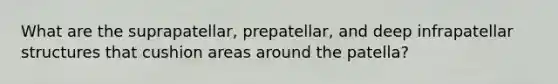 What are the suprapatellar, prepatellar, and deep infrapatellar structures that cushion areas around the patella?