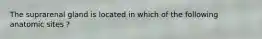 The suprarenal gland is located in which of the following anatomic sites ?