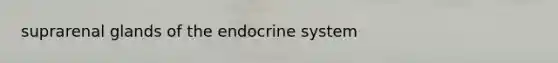 suprarenal glands of the endocrine system