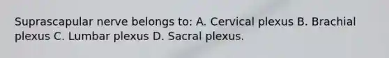 Suprascapular nerve belongs to: A. Cervical plexus B. Brachial plexus C. Lumbar plexus D. Sacral plexus.