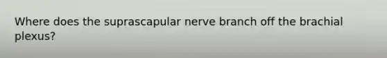 Where does the suprascapular nerve branch off the brachial plexus?