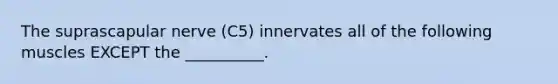 The suprascapular nerve (C5) innervates all of the following muscles EXCEPT the __________.