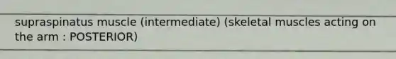 supraspinatus muscle (intermediate) (skeletal muscles acting on the arm : POSTERIOR)