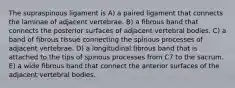 The supraspinous ligament is A) a paired ligament that connects the laminae of adjacent vertebrae. B) a fibrous band that connects the posterior surfaces of adjacent vertebral bodies. C) a band of fibrous tissue connecting the spinous processes of adjacent vertebrae. D) a longitudinal fibrous band that is attached to the tips of spinous processes from C7 to the sacrum. E) a wide fibrous band that connect the anterior surfaces of the adjacent vertebral bodies.