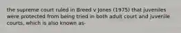 the supreme court ruled in Breed v Jones (1975) that juveniles were protected from being tried in both adult court and juvenile courts, which is also known as-