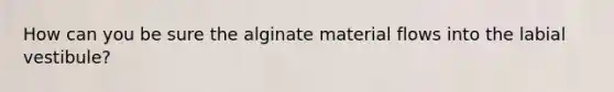 How can you be sure the alginate material flows into the labial vestibule?