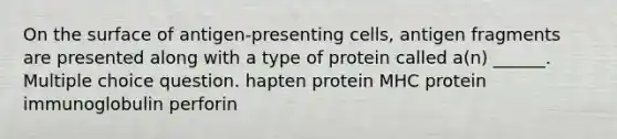 On the surface of antigen-presenting cells, antigen fragments are presented along with a type of protein called a(n) ______. Multiple choice question. hapten protein MHC protein immunoglobulin perforin