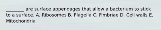 ________ are surface appendages that allow a bacterium to stick to a surface. A. Ribosomes B. Flagella C. Fimbriae D. Cell walls E. Mitochondria