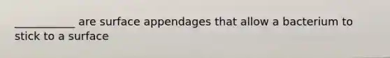 ___________ are surface appendages that allow a bacterium to stick to a surface