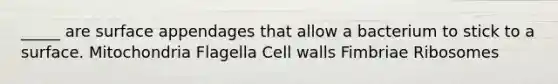 _____ are surface appendages that allow a bacterium to stick to a surface. Mitochondria Flagella Cell walls Fimbriae Ribosomes