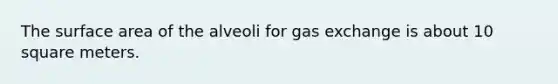 The surface area of the alveoli for gas exchange is about 10 square meters.