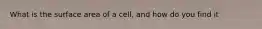 What is the surface area of a cell, and how do you find it