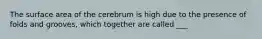 The surface area of the cerebrum is high due to the presence of folds and grooves, which together are called ___