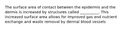 The surface area of contact between the epidermis and the dermis is increased by structures called __________. This increased surface area allows for improved gas and nutrient exchange and waste removal by dermal blood vessels