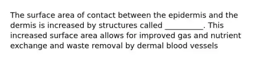 The surface area of contact between the epidermis and the dermis is increased by structures called __________. This increased surface area allows for improved gas and nutrient exchange and waste removal by dermal blood vessels