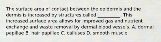 The surface area of contact between <a href='https://www.questionai.com/knowledge/kBFgQMpq6s-the-epidermis' class='anchor-knowledge'>the epidermis</a> and <a href='https://www.questionai.com/knowledge/kEsXbG6AwS-the-dermis' class='anchor-knowledge'>the dermis</a> is increased by structures called __________. This increased surface area allows for improved gas and nutrient exchange and waste removal by dermal <a href='https://www.questionai.com/knowledge/kZJ3mNKN7P-blood-vessels' class='anchor-knowledge'>blood vessels</a>. A. dermal papillae B. hair papillae C. calluses D. smooth muscle