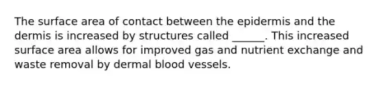 The surface area of contact between the epidermis and the dermis is increased by structures called ______. This increased surface area allows for improved gas and nutrient exchange and waste removal by dermal blood vessels.