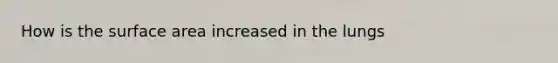 How is the surface area increased in the lungs