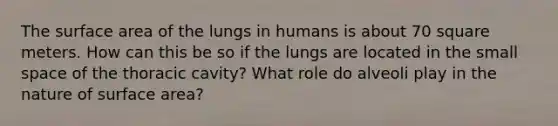 The surface area of the lungs in humans is about 70 square meters. How can this be so if the lungs are located in the small space of the thoracic cavity? What role do alveoli play in the nature of surface area?