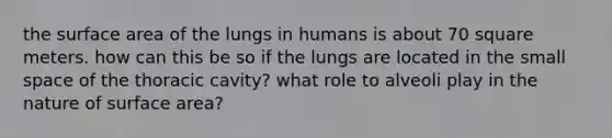 the <a href='https://www.questionai.com/knowledge/kEtsSAPENL-surface-area' class='anchor-knowledge'>surface area</a> of the lungs in humans is about 70 square meters. how can this be so if the lungs are located in the small space of the thoracic cavity? what role to alveoli play in the nature of surface area?