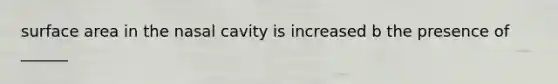 surface area in the nasal cavity is increased b the presence of ______
