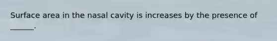 Surface area in the nasal cavity is increases by the presence of ______.