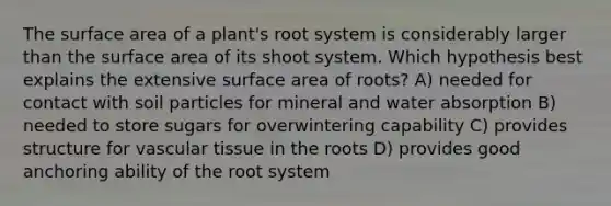 The surface area of a plant's root system is considerably larger than the surface area of its shoot system. Which hypothesis best explains the extensive surface area of roots? A) needed for contact with soil particles for mineral and water absorption B) needed to store sugars for overwintering capability C) provides structure for vascular tissue in the roots D) provides good anchoring ability of the root system