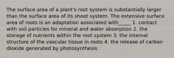 The surface area of a plant's root system is substantially larger than the surface area of its shoot system. The extensive surface area of roots is an adaptation associated with_____ 1. contact with soil particles for mineral and water absorption 2. the storage of nutrients within the root system 3. the internal structure of the vascular tissue in roots 4. the release of carbon dioxide generated by photosynthesis