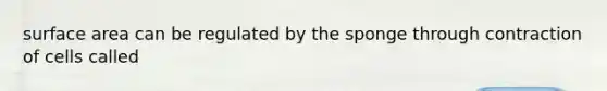 surface area can be regulated by the sponge through contraction of cells called