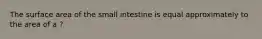 The surface area of the small intestine is equal approximately to the area of a ?