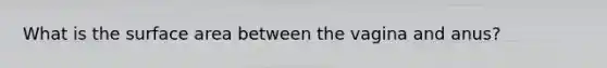 What is the surface area between the vagina and anus?