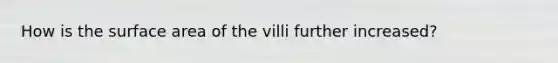 How is the surface area of the villi further increased?