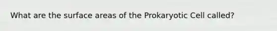 What are the surface areas of the Prokaryotic Cell called?