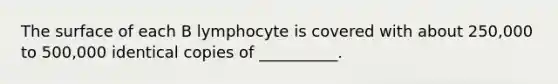 The surface of each B lymphocyte is covered with about 250,000 to 500,000 identical copies of __________.