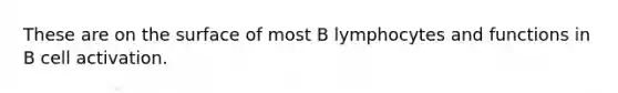 These are on the surface of most B lymphocytes and functions in B cell activation.