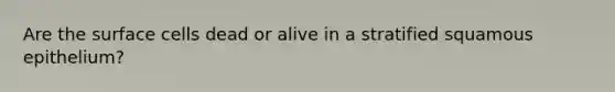 Are the surface cells dead or alive in a stratified squamous epithelium?