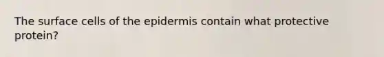 The surface cells of the epidermis contain what protective protein?