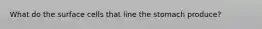 What do the surface cells that line the stomach produce?